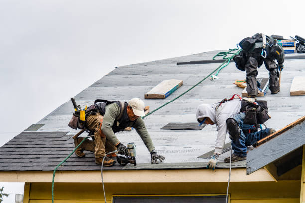 Professional Storm Damage Roof Repair technician working in Saluda, NC